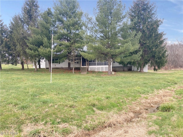 view of yard featuring a porch