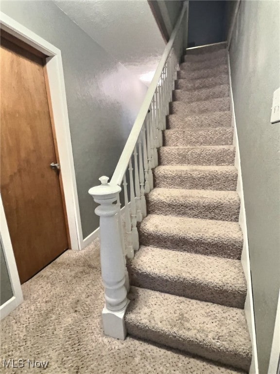 stairway featuring carpet floors