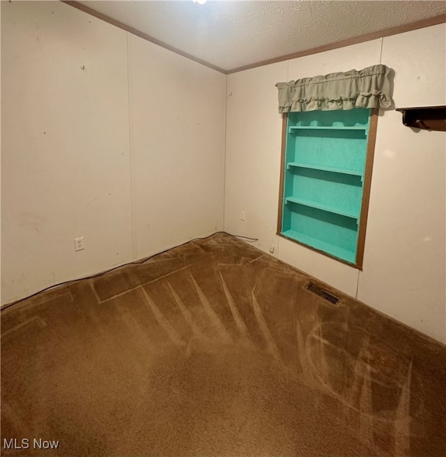 empty room with carpet floors and a textured ceiling