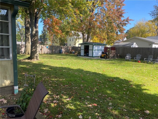 view of yard featuring a shed