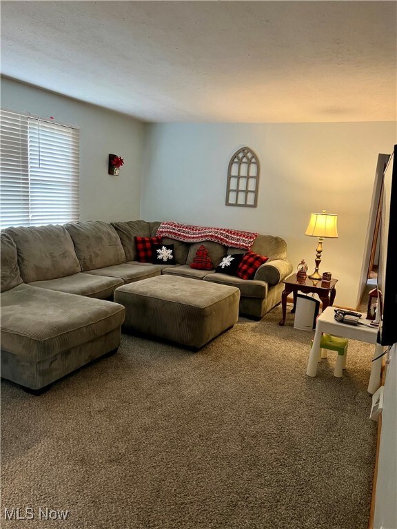 living room featuring carpet floors