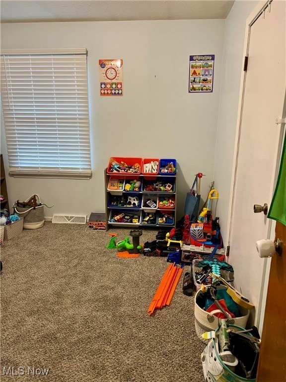 playroom with carpet