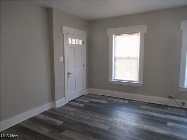 foyer entrance with dark wood-type flooring