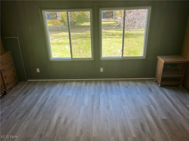 spare room featuring light hardwood / wood-style flooring and plenty of natural light