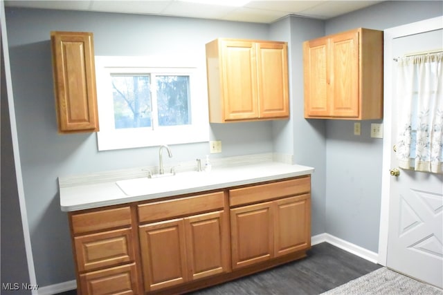 kitchen featuring a drop ceiling, sink, and dark wood-type flooring