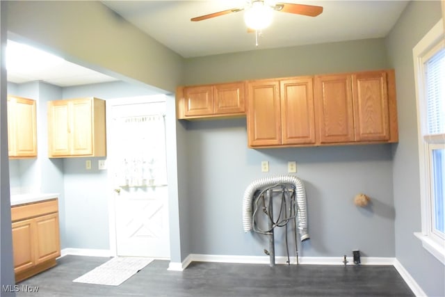 washroom featuring cabinets, ceiling fan, and dark hardwood / wood-style flooring