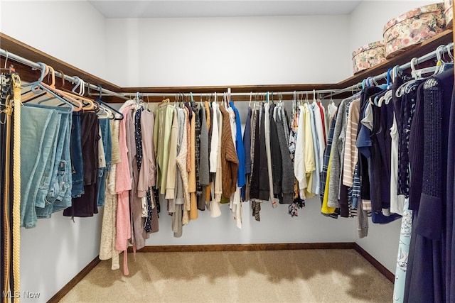 walk in closet with carpet