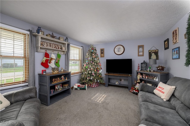 living room featuring carpet and a textured ceiling