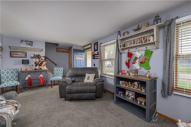 view of carpeted living room