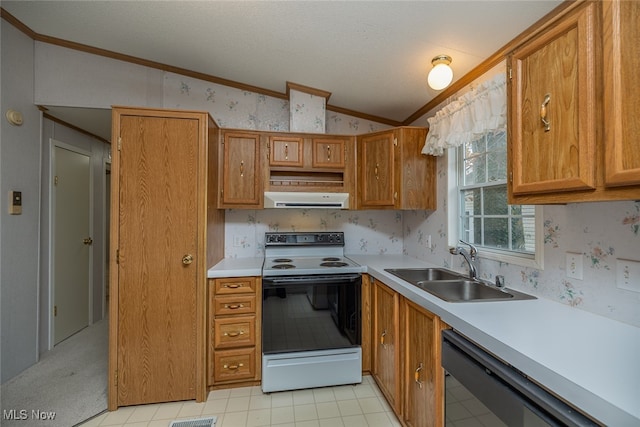 kitchen featuring dishwasher, ventilation hood, sink, vaulted ceiling, and white range with electric stovetop