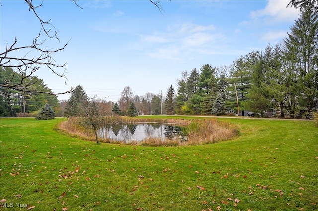 view of water feature