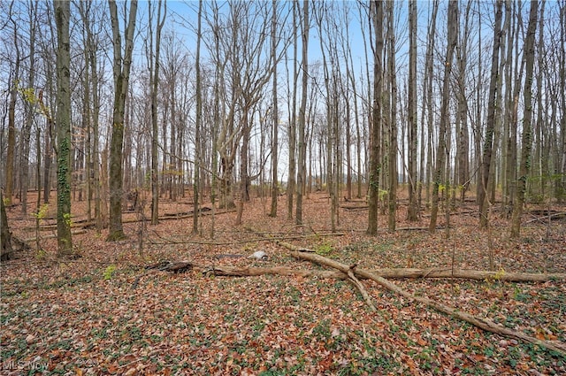 view of local wilderness