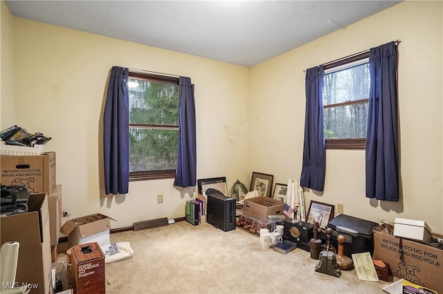 miscellaneous room with carpet flooring and a textured ceiling