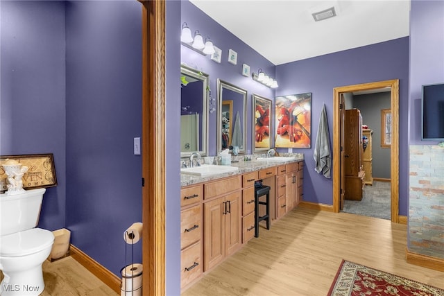 bathroom featuring vanity, toilet, and wood-type flooring