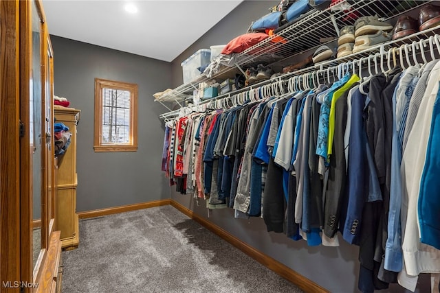 spacious closet featuring carpet