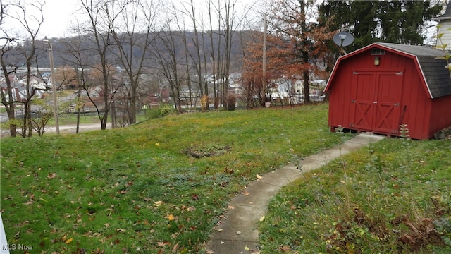 view of yard featuring a storage shed