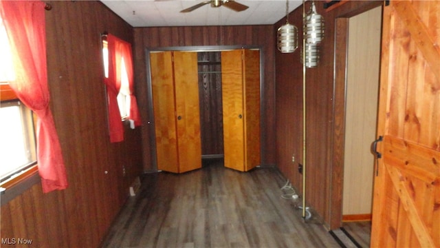 corridor with dark hardwood / wood-style floors and wooden walls