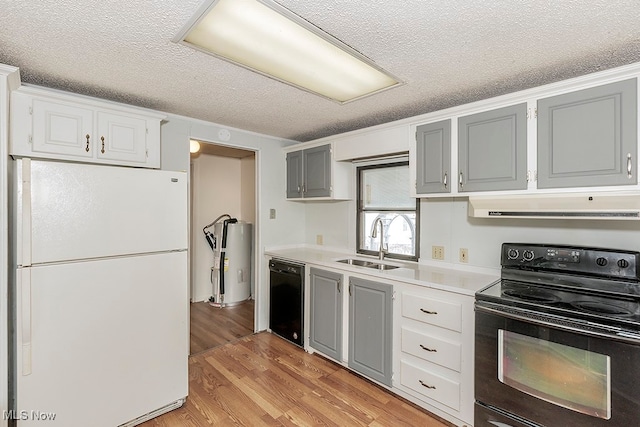 kitchen featuring black appliances, sink, gray cabinets, a textured ceiling, and light hardwood / wood-style floors