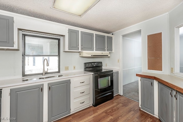 kitchen with gray cabinetry, hardwood / wood-style floors, black electric range oven, sink, and extractor fan