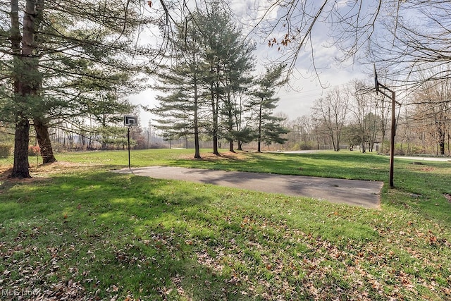 view of home's community with a yard