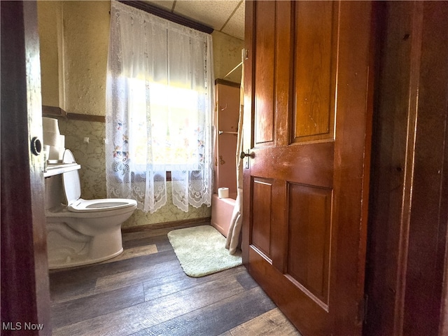 bathroom with hardwood / wood-style floors and toilet