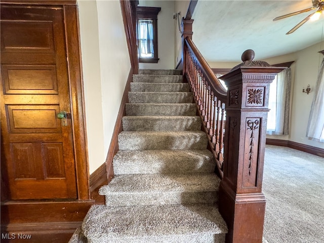 stairway with ceiling fan and carpet floors