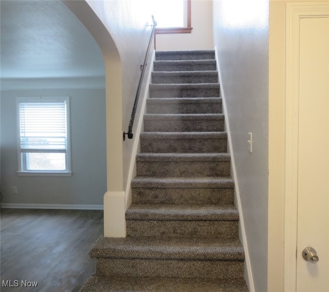 stairs with carpet floors and a healthy amount of sunlight