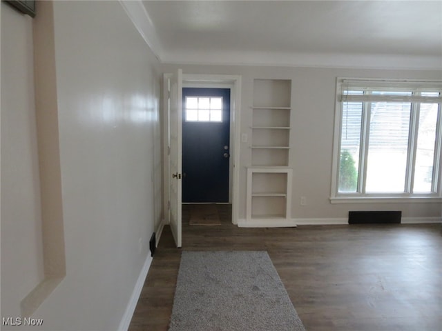 foyer entrance featuring dark wood-type flooring