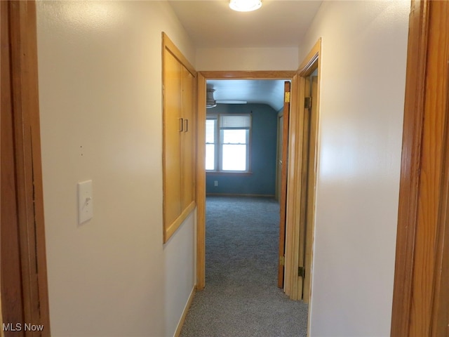 corridor with carpet floors