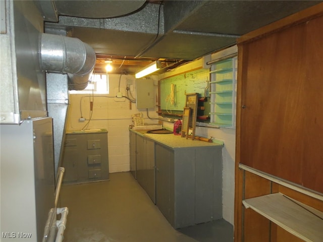 basement with electric panel