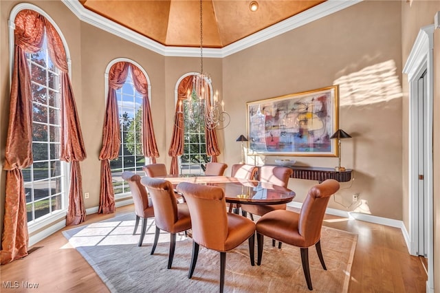 dining room with a healthy amount of sunlight, a high ceiling, and light hardwood / wood-style floors