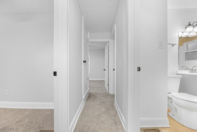 hall featuring light carpet and a textured ceiling