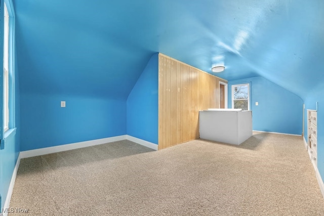 additional living space featuring carpet flooring and lofted ceiling