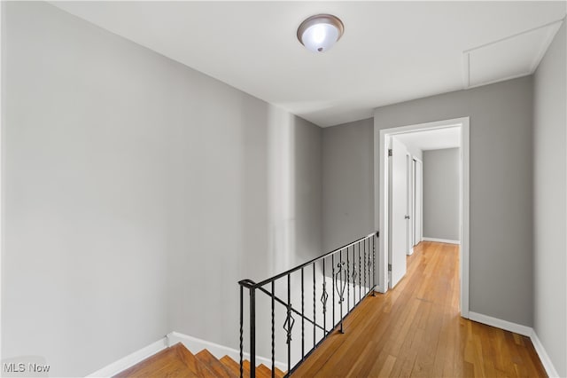 hall with hardwood / wood-style flooring