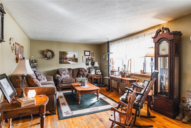 living room featuring a textured ceiling and light wood-type flooring