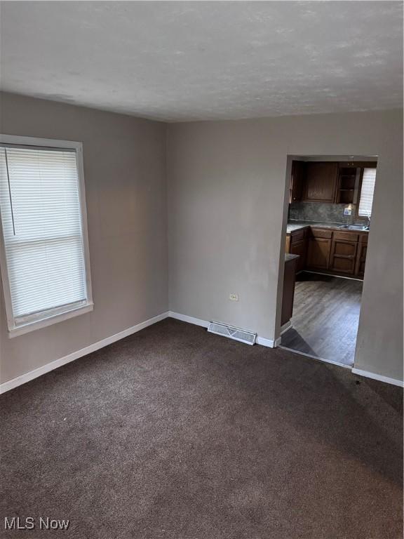 carpeted empty room featuring a wealth of natural light and sink