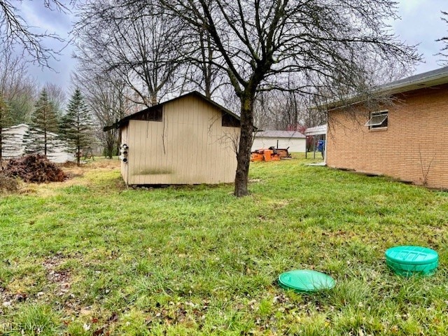 view of yard with a storage unit