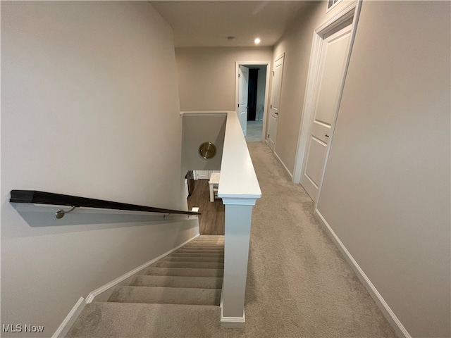 staircase featuring carpet floors