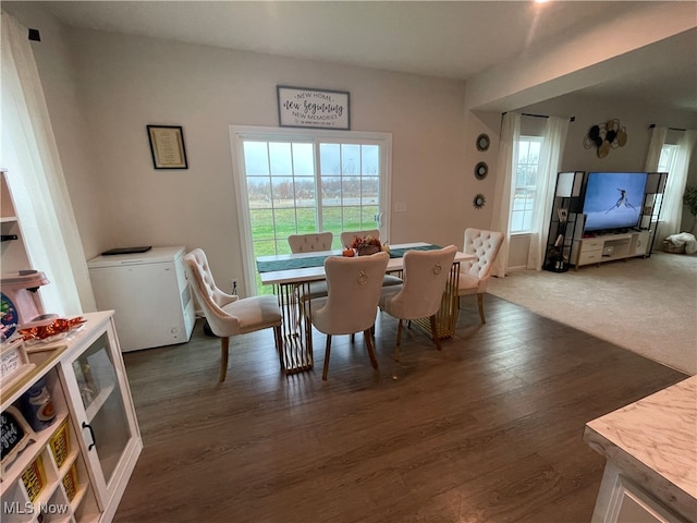 dining room featuring dark wood-type flooring