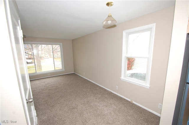 spare room featuring carpet floors