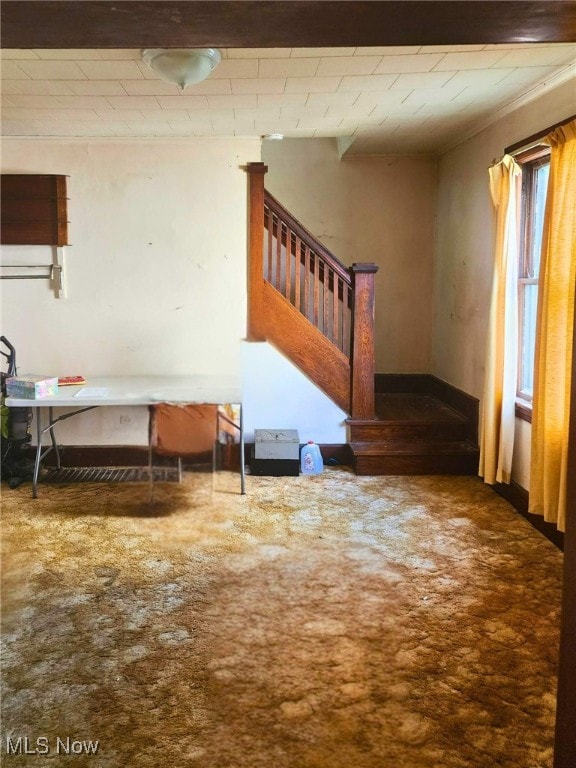 interior space with carpet and ornamental molding