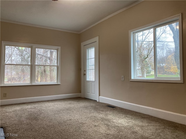 carpeted spare room with crown molding