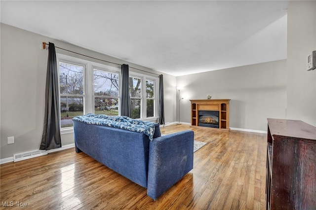 living room featuring a wealth of natural light and wood-type flooring