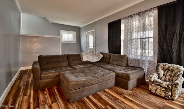 living room with wood-type flooring and crown molding