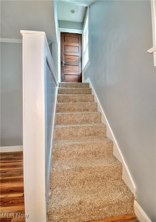 stairway with hardwood / wood-style floors and ornamental molding