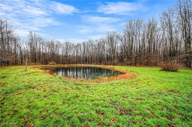 view of yard with a water view