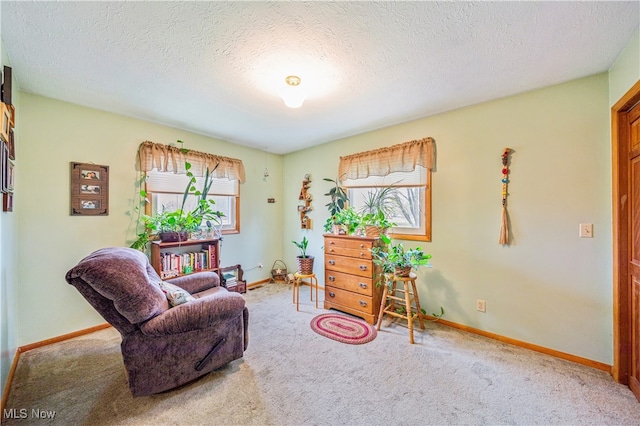 living area with carpet and a textured ceiling