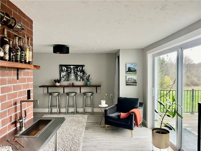 sitting room featuring a textured ceiling, light wood-type flooring, and sink