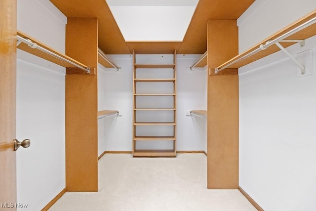 spacious closet with carpet