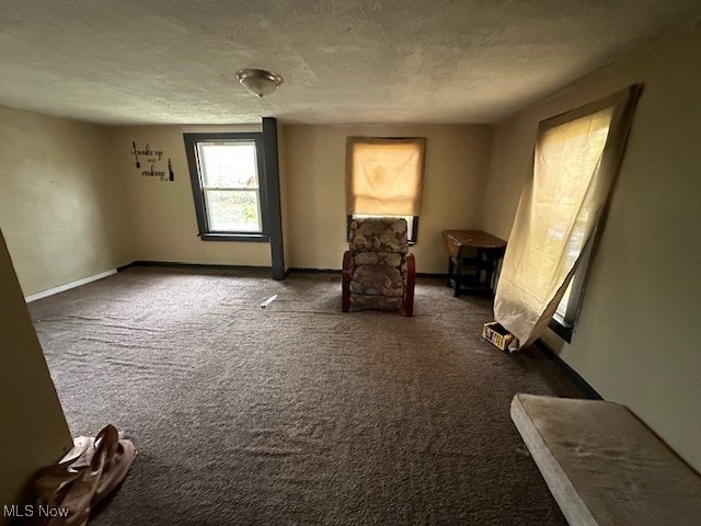 unfurnished room with a textured ceiling and carpet floors